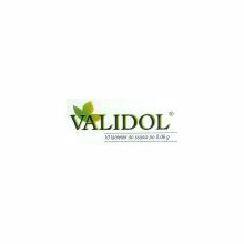 VALIDOL - 10 TABL.